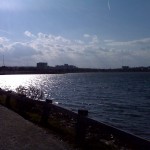 Back Cove