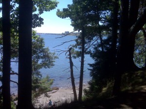 Mackworth Island