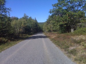 Acadia Carriage Roads